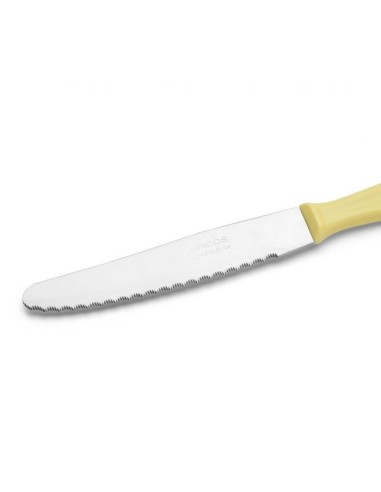 CUCHILLO POSTRE COLOR AMARILLO POLIPROPILENO...
