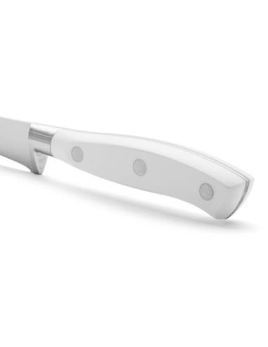 CUCHILLO JAMONERO SERIE RIVIERA BLANC 250 MM