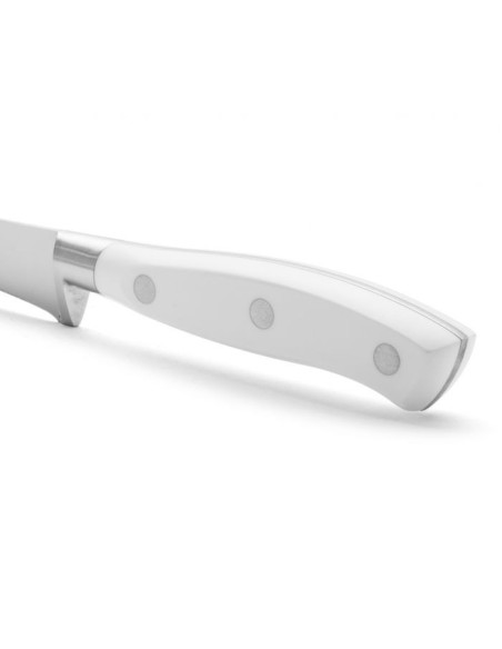 CUCHILLO JAMONERO SERIE RIVIERA BLANC 250 MM