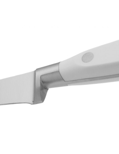 CUCHILLO JAMONERO SERIE RIVIERA BLANC 250 MM