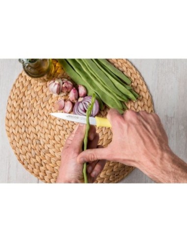 CUCHILLO MONDADOR COLOR LIMÓN SERIE NOVA 100 MM