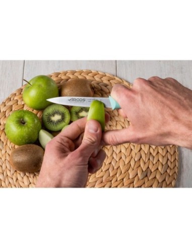 CUCHILLO MONDADOR COLOR MENTA SERIE NOVA 100 MM