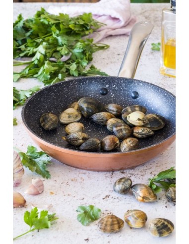 Sarten copper 20 cm