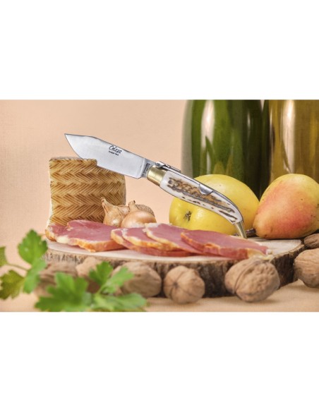 Navaja Pastora de 8 cm y hoja de acero Carbono, Cuerpo de latón y Mango de asta de Ciervo.