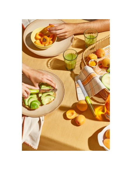 Cuchillo de Mesa B-Line Verde